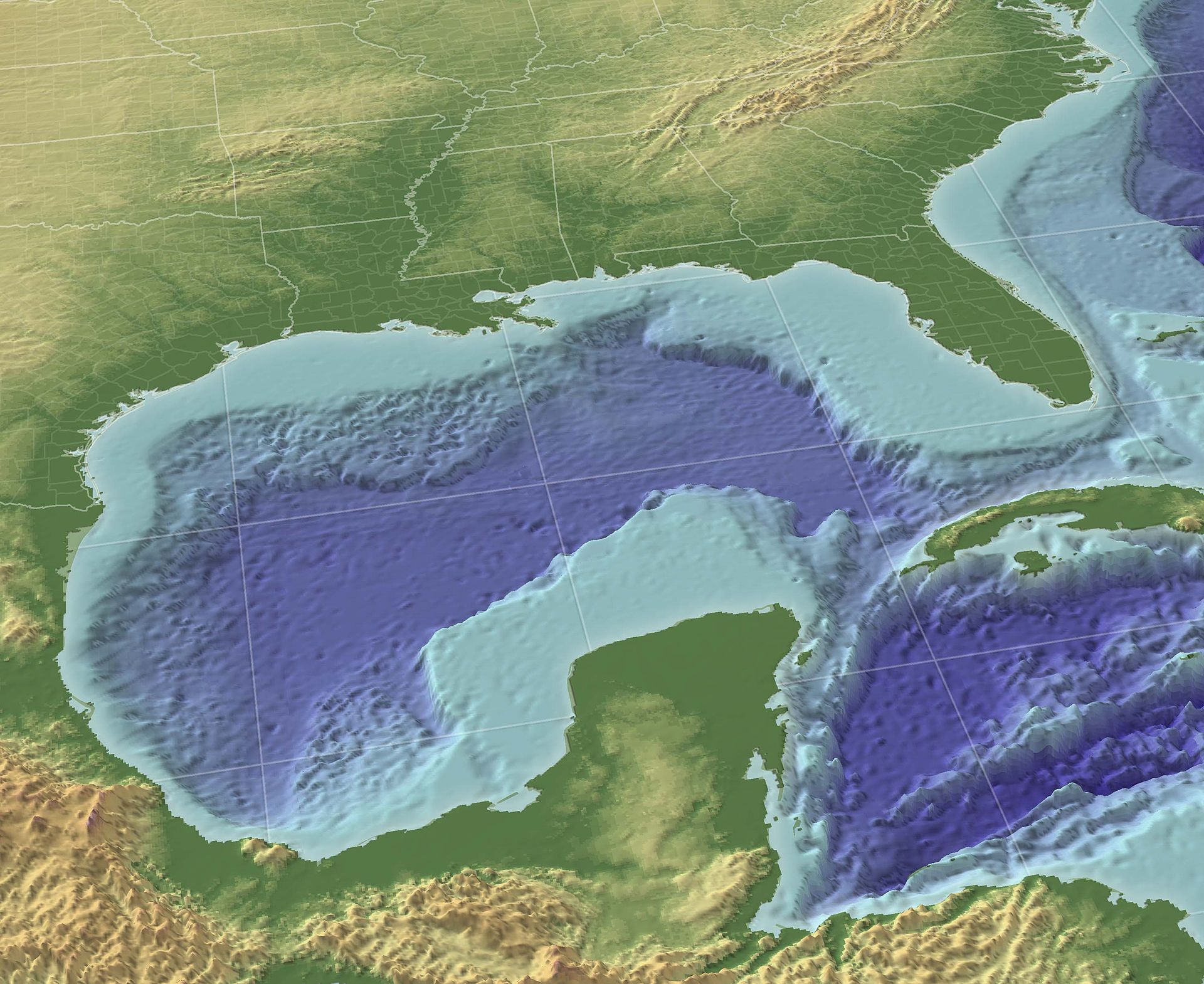 (Gulf of Mexico)